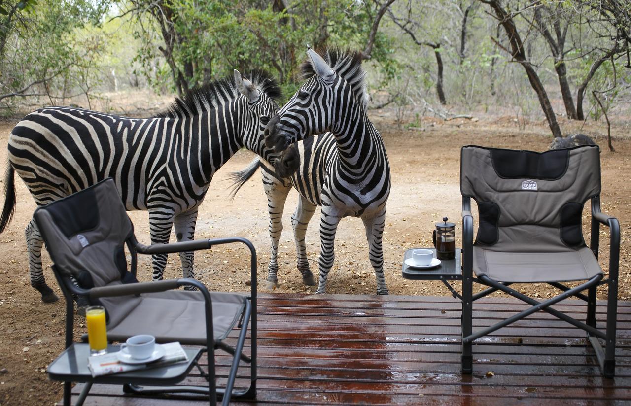 Tusk Bush Lodge Marloth Park Eksteriør billede