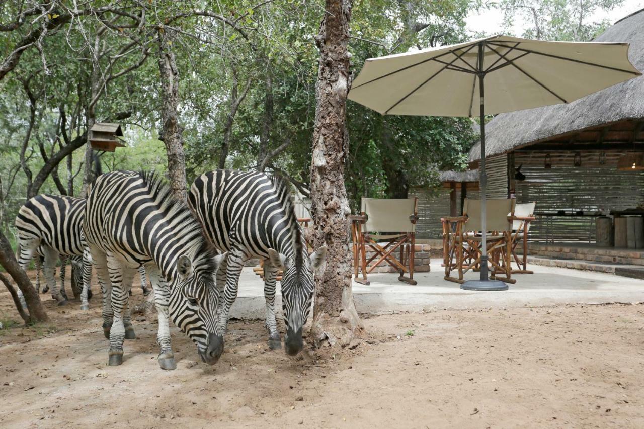 Tusk Bush Lodge Marloth Park Eksteriør billede
