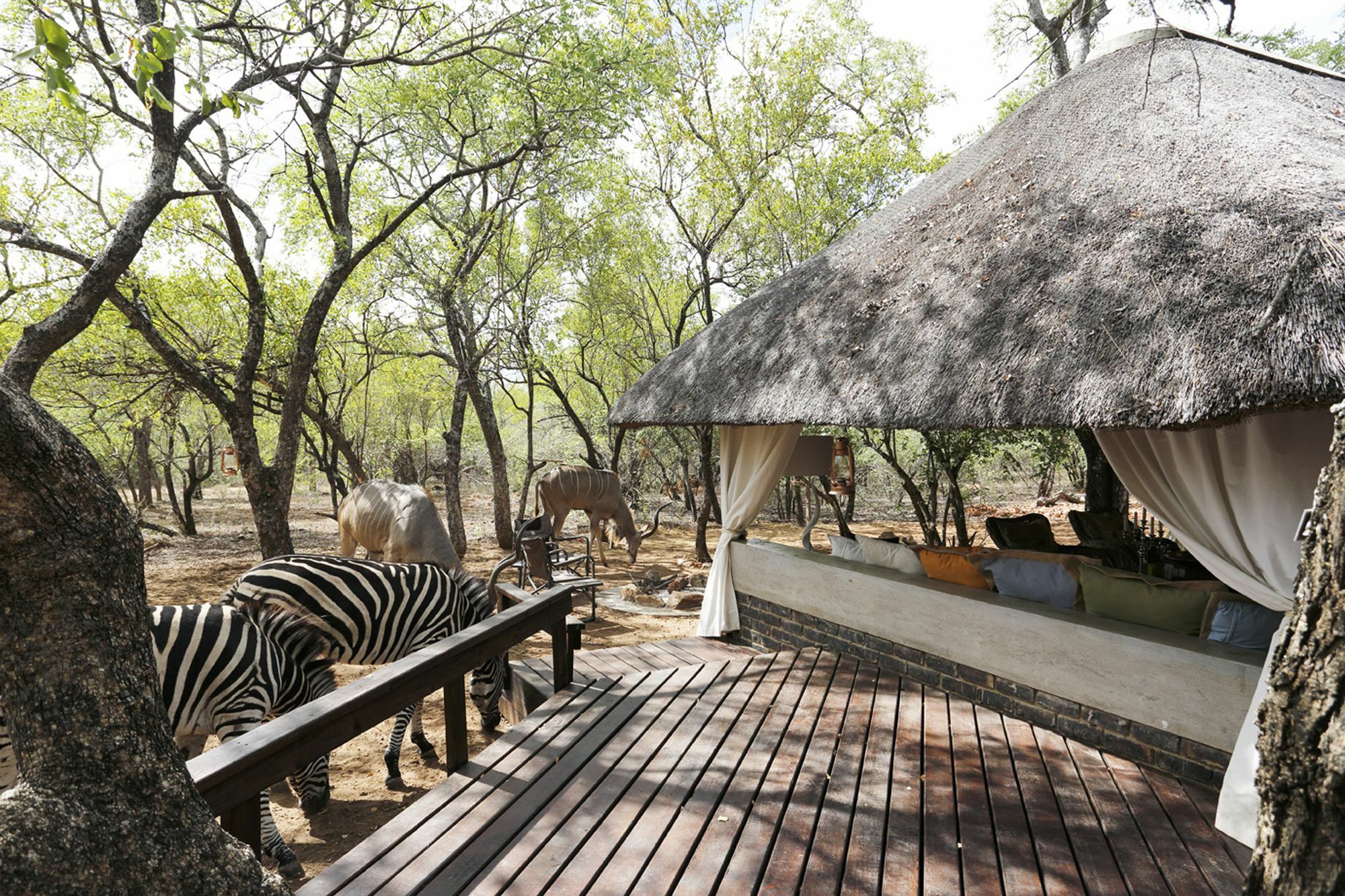 Tusk Bush Lodge Marloth Park Eksteriør billede