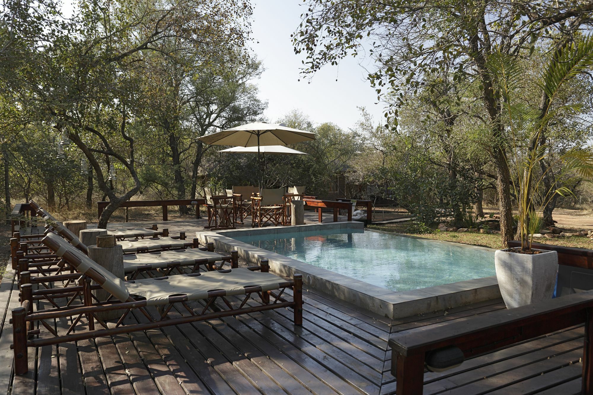Tusk Bush Lodge Marloth Park Eksteriør billede