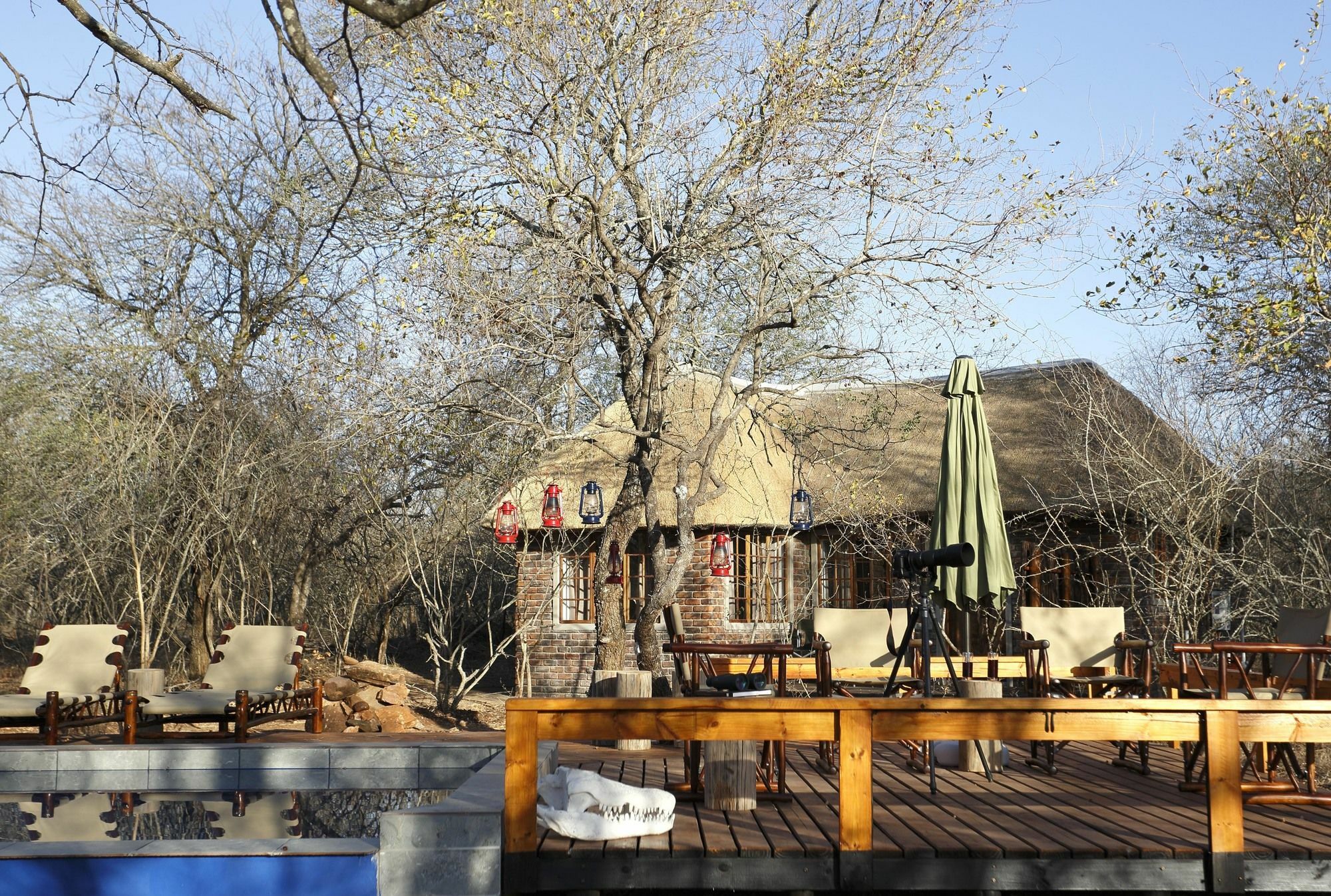 Tusk Bush Lodge Marloth Park Eksteriør billede