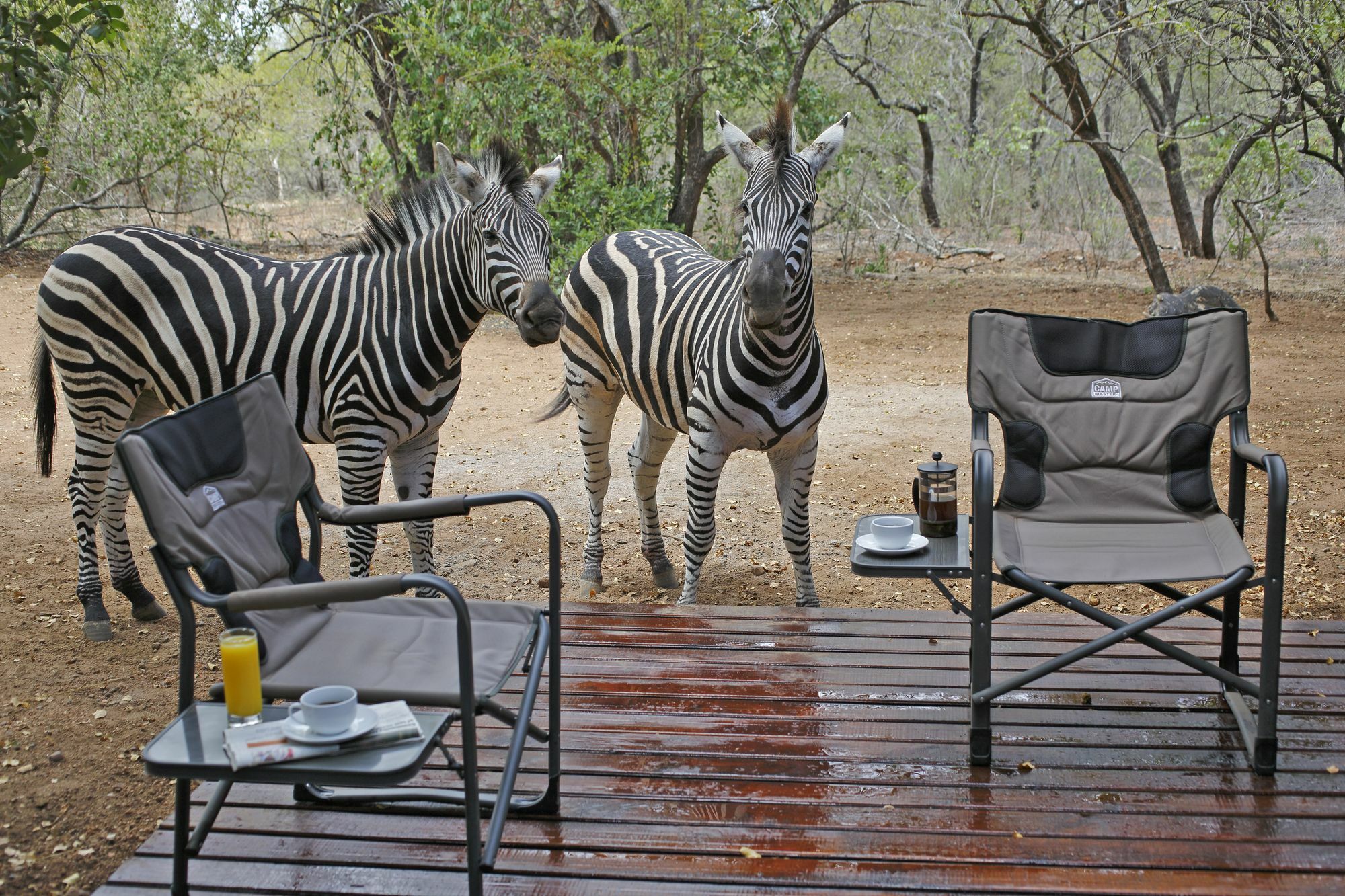 Tusk Bush Lodge Marloth Park Eksteriør billede
