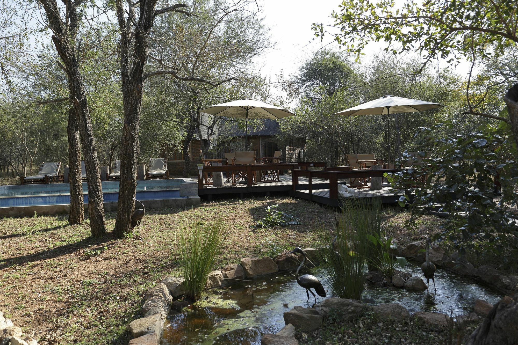 Tusk Bush Lodge Marloth Park Eksteriør billede