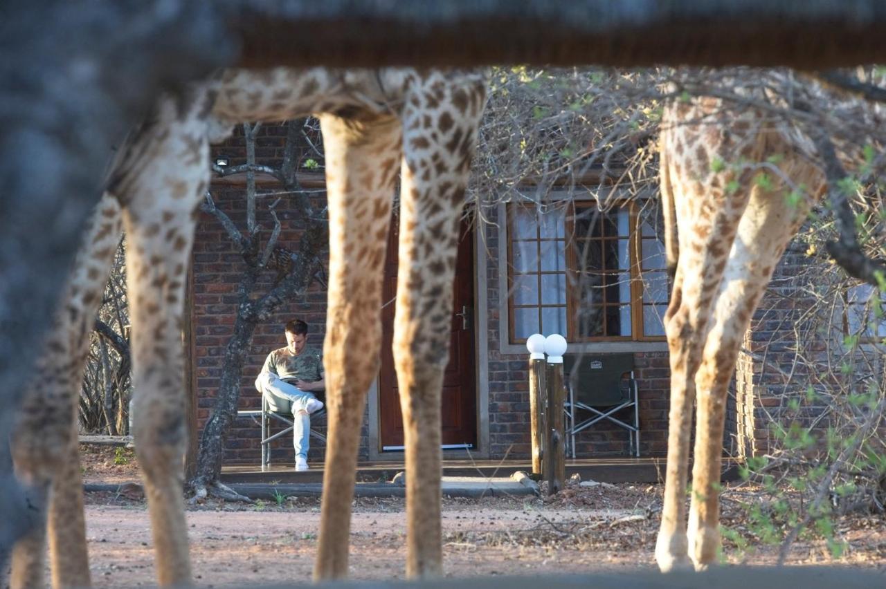 Tusk Bush Lodge Marloth Park Eksteriør billede