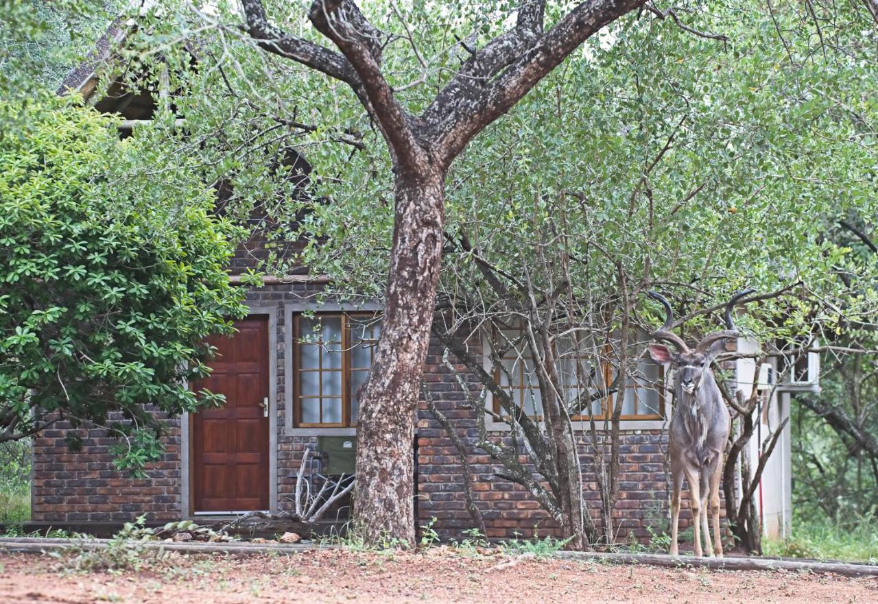 Tusk Bush Lodge Marloth Park Eksteriør billede